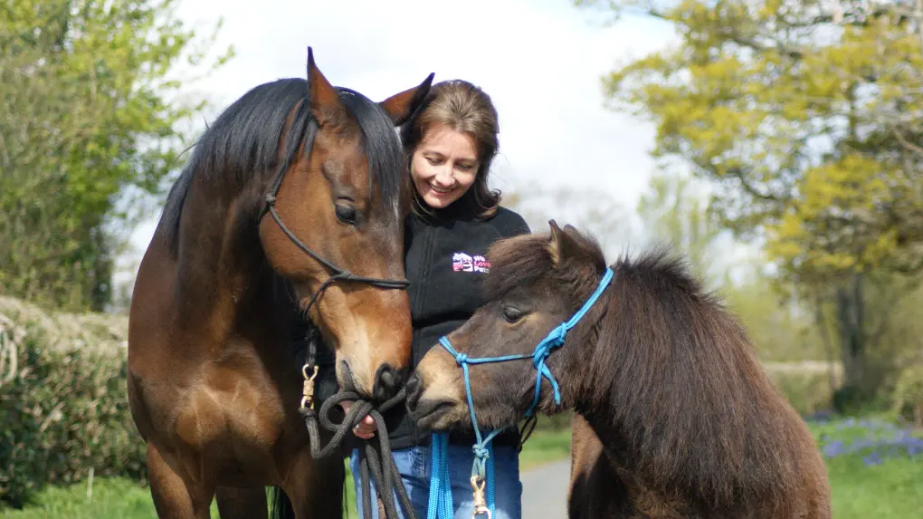 Are Horses Good Pets