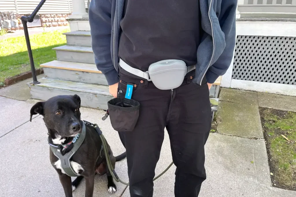 Dog Walking Accessories Dog Walking Accessories