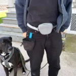 Dog Walking Accessories