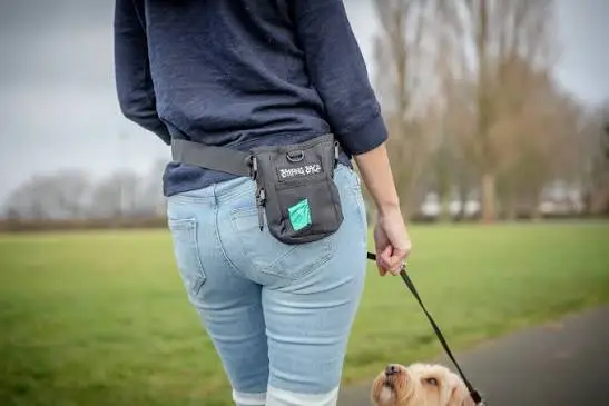Dog Walking Accessories 2 Dog Walking Accessories
