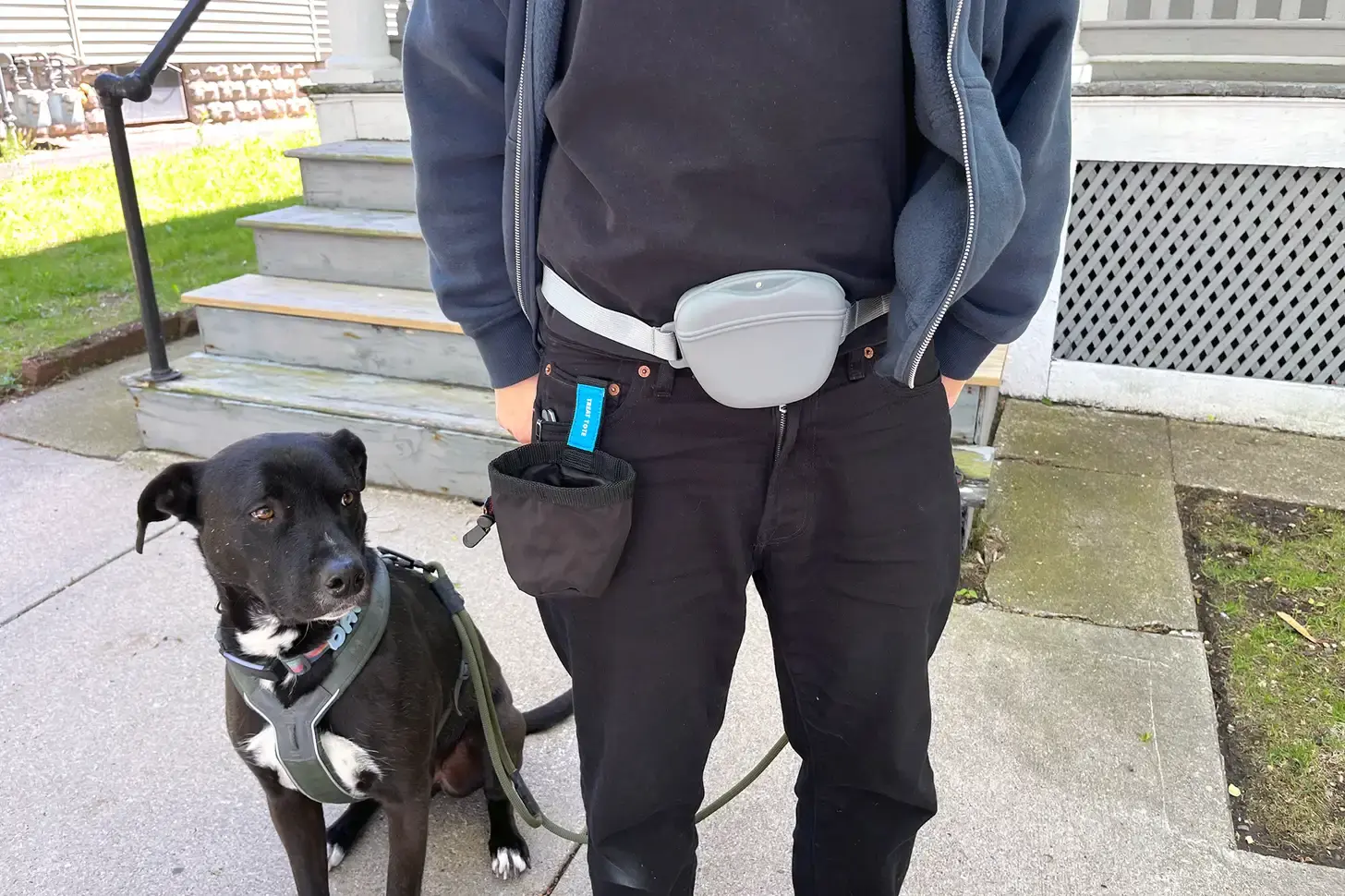 Dog Walking Accessories Dog Walking Accessories