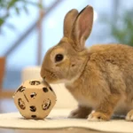 Gnawing Toys for Rabbits