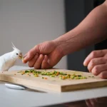 What Foods Can Cockatiels Eat